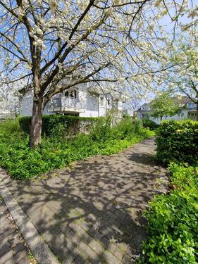 Foto - Vier Wände zum Wohlfühlen – mit WBS.