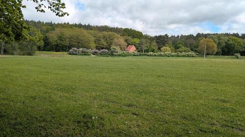 Foto - 4 Zimmer Einfamilienhaus zum Kaufen in Lenzen (Elbe)