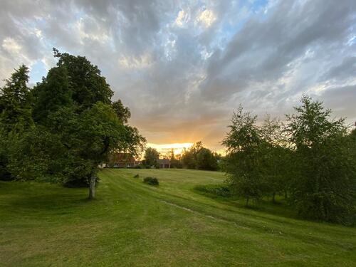 Foto - Bauernhaus, Landhaus in Borrentin zum Kaufen