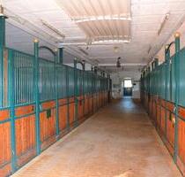 Bauernhof, Pferdehof, Reitanlage: Einnahmen ca. 9.000 €Mon. - Emmelshausen