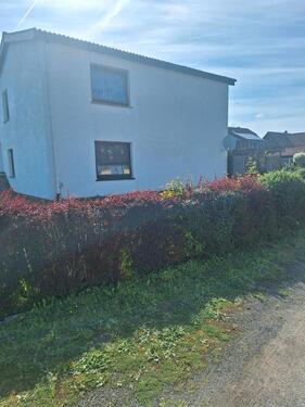 Foto - 5 Zimmer Einfamilienhaus zum Kaufen in Meerbeck