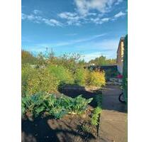 Kleingarten zur Pacht mit ca. 600 m² in Niederndodeleben - Hohe Börde