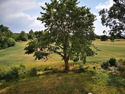 Foto - 5 Zimmer Etagenwohnung zur Miete in Lübeck
