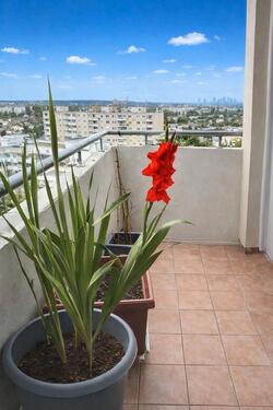 Foto - Von Privat 3-Zimmer-Wohnung mit Skylineblick in Offenbach