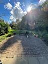 Foto - Grundstück in Bielefeld