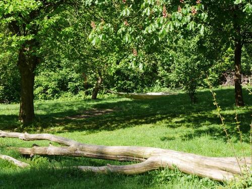 Foto - Zu verpachten: Gartengrundstück in Horn Bad Meinberg Holzhausen
