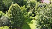 Foto - Grundstück in Horn-Bad Meinberg zur Miete