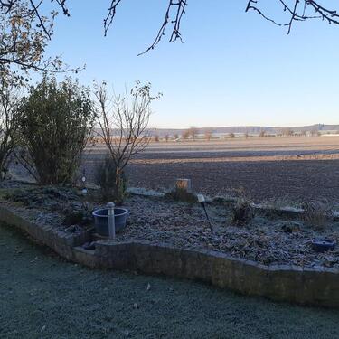 Foto - Einfamilienhaus in Börßum zum Kaufen