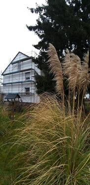Foto - Mehrfamilienhaus, Wohnhaus in Rheinau zum Kaufen