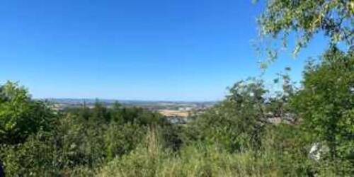 Foto - 3 Zimmer Etagenwohnung zur Miete in Gerlingen