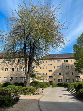 Foto - Grüne 1,5 Zimmer-Wohnung Tempelhof (befristet)