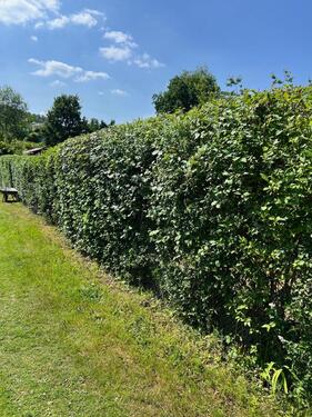 Foto - Grundst&uuml;ck zur Miete in Weikersheim