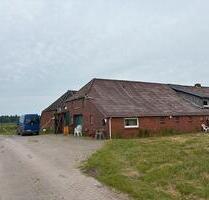 Moin verkaufe hier ein Bauernhaus Landhaus - Südbrookmerland