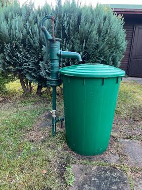 Foto - Eine kleine Garten + alle Sachen