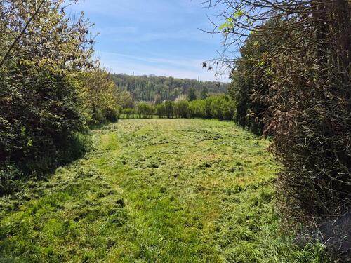 Foto - Grundstück Wiese nähe 75248 Dürrn zu vermieten Freizeit Kinder