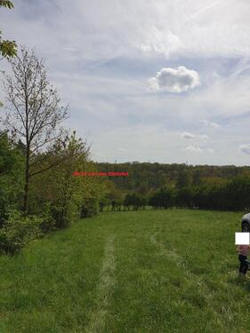 Foto - Grundst&uuml;ck in Ölbronn-Dürrn