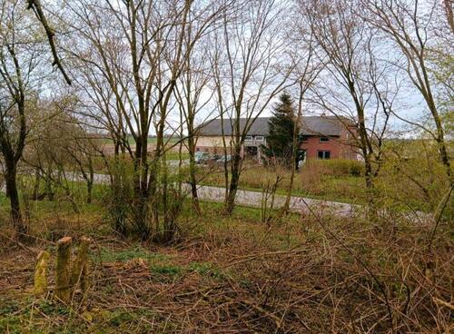 Foto - Haus Resthof Bauernhof in Nordfriesland zu verkaufen