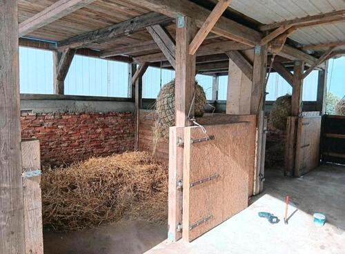 Foto - Bauernhaus, Landhaus in Klanxbüll zum Kaufen