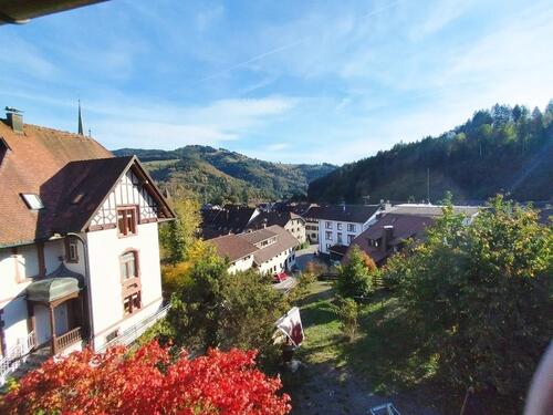 Foto - Mehrfamilienhaus, Wohnhaus zum Kaufen in Schönau im Schwarzwald