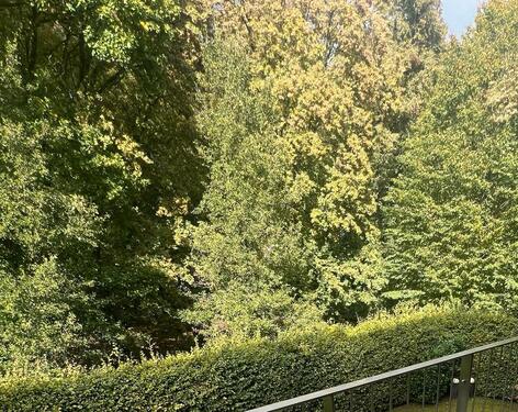 Foto - MS: für 2-3 Jahre: 80 qm in exkl. Citylage mit Blk.