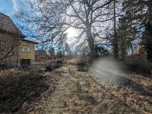 Foto - 5 Zimmer Einfamilienhaus zum Kaufen in Oranienburg