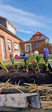 Foto - Einfamilienhaus in Neuenkirchen zum Kaufen
