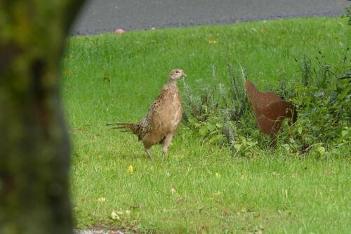 Foto - Ferienwohnung - 95,00&nbsp;EUR Kaltmiete,