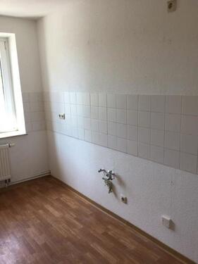Foto - 2 Zimmer Erdgeschoßwohnung zur Miete in Dresden