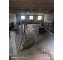 Lagerraum Halle - 230,00 EUR Kaltmiete, in Senden (PLZ: 48308)