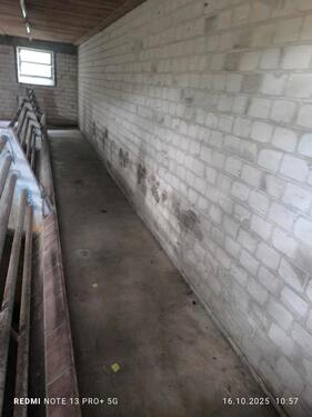 Foto - andere in Senden