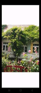 Foto - 6 Zimmer Villa zum Kaufen in Plau am See