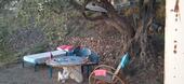Foto - andere in Frankfurt am Main