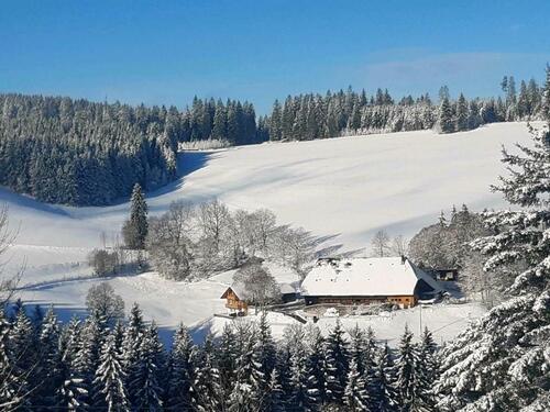 Foto - andere zur Miete in Vöhrenbach