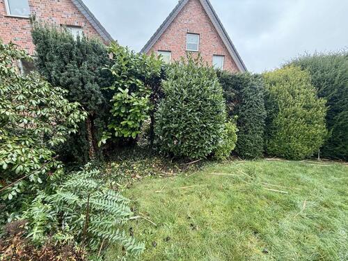 Foto - 3 Zimmer Erdgeschoßwohnung zur Miete in Telgte