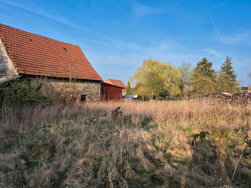 Foto - Einfamilienhaus in Sangerhausen zum Kaufen