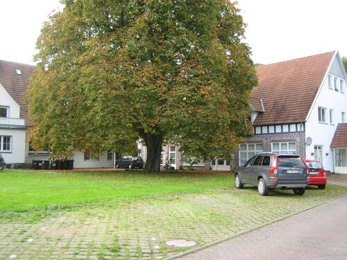 Foto - Gemütliche Dachgeschoß Wohnung in ländlicher Natur!