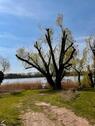 Foto - andere in Neuruppin zur Miete