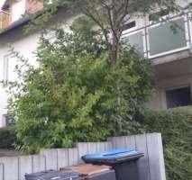 Foto - 173.04 3 ZKB Wohnung Am Armenberg. 10 in Nentershausen Besichtigugstermin am 22.06.23 um 15Uhr