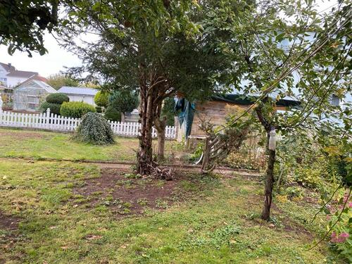 Foto - Einfamilienhaus in Hohenroda zum Kaufen