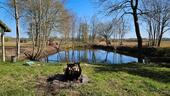 Foto - Grundstück in Emlichheim