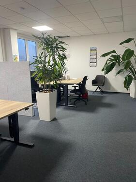 Foto - andere in Admannshagen-Bargeshagen zur Miete