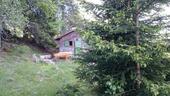 Foto - Urige Hütte im Schwarzwald - 600,00 EUR Kaltmiete,