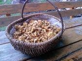 Foto - andere in Schluchsee