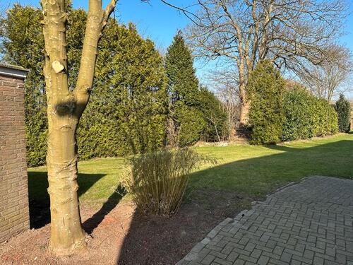 Foto - Mehrfamilienhaus, Wohnhaus in Osnabrück zum Kaufen
