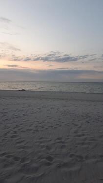 Foto - andere in Rostock zur Miete