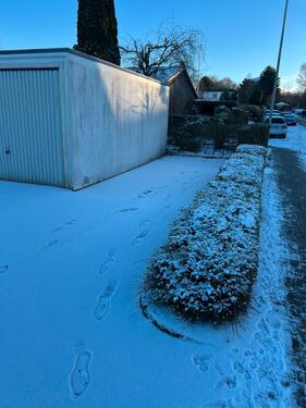 Foto - andere zur Miete in Tastrup