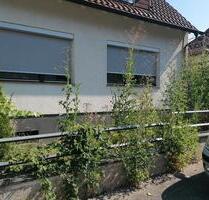 Freistehendes EFH mit Dach-Einliegerwohnung - Wurmberg