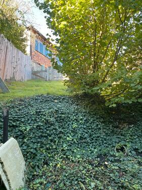 Foto - Einfamilienhaus in Thale zum Kaufen