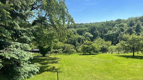 Foto - Ruhe Einliegerwohnung mit wunderschönem Ausblick zu vermieten