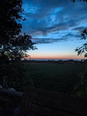 Foto - Helle 2-Zimmer Dachgeschoss-Wohnung am Rande von Offenburg